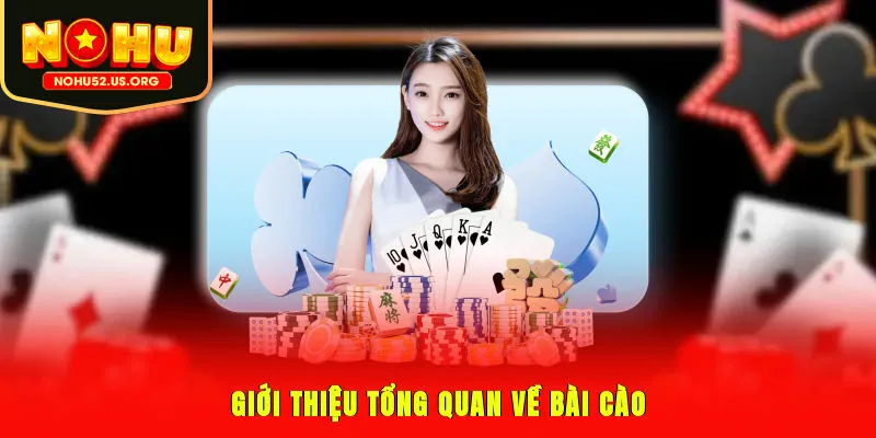 Giới thiệu tổng quan về bài cào